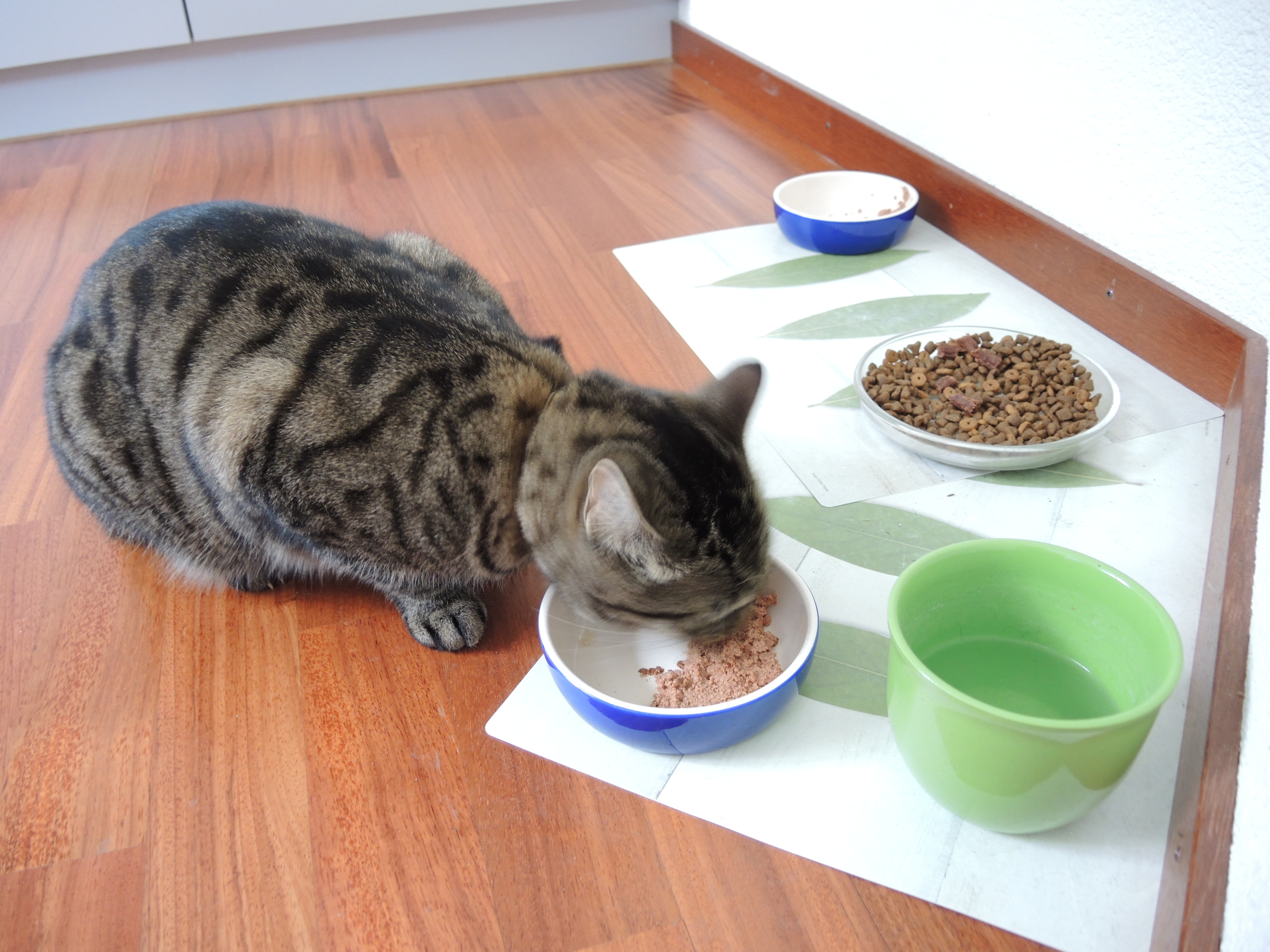 Balcony beauties by Jasmin Ansar